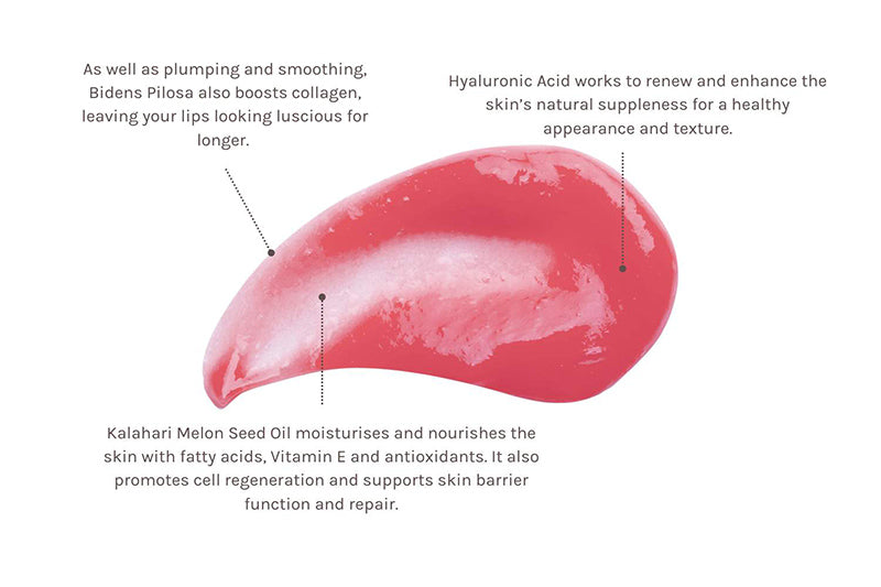Bio-Retinol Glossy Lip Oil, Έλαιο Χειλιών με Ρετινόλη, 15ml, EVOLVE