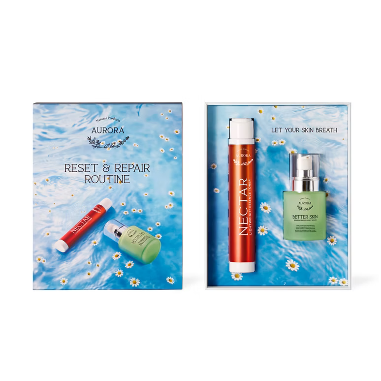 RESET AND REPAIR ROUTINE, AURORA