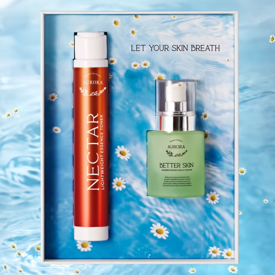 RESET AND REPAIR ROUTINE, AURORA